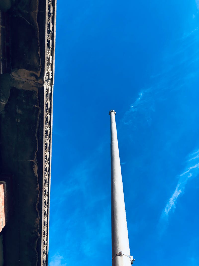 Wandelen met de hond Almere